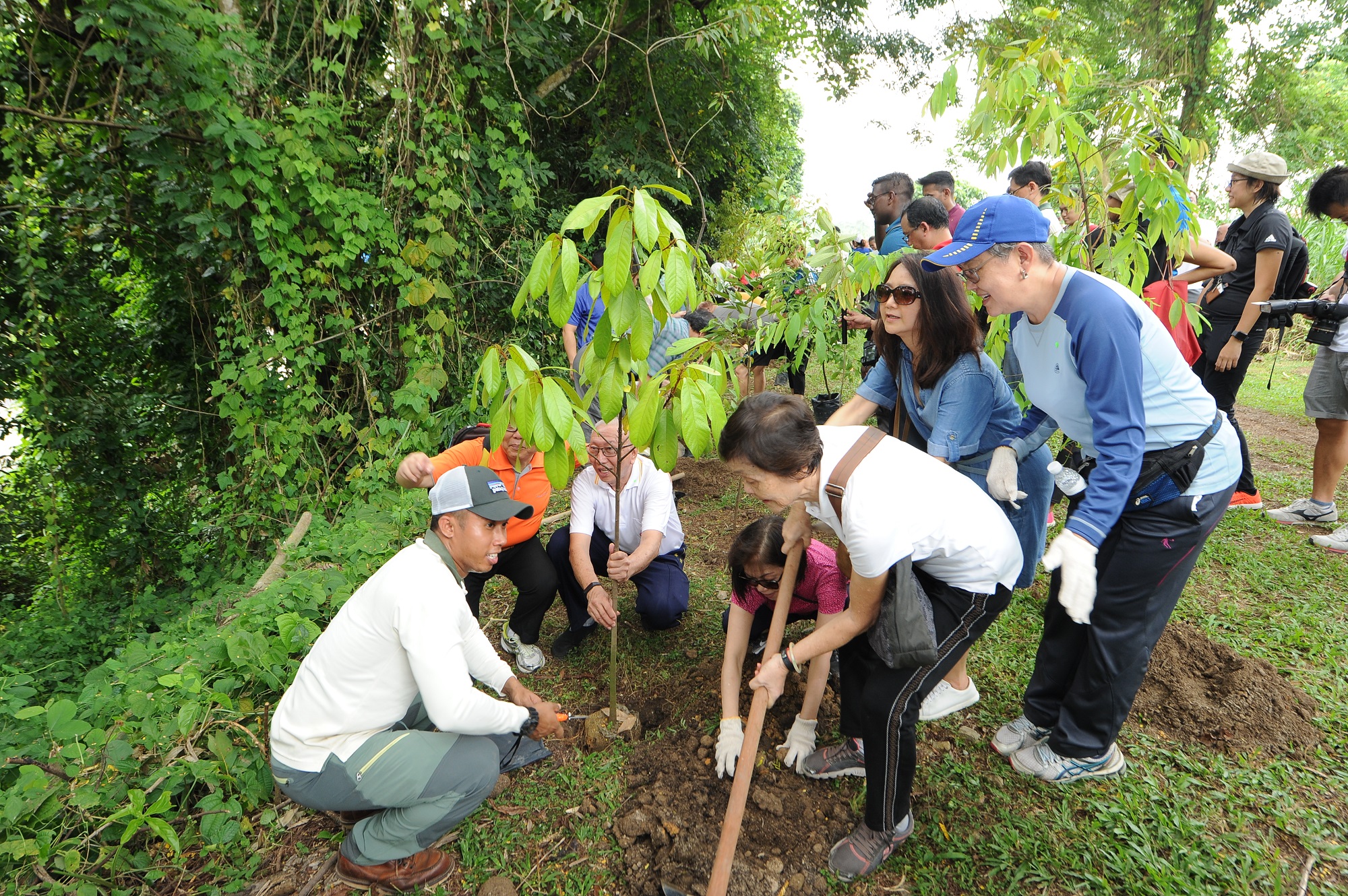 About Plant A Tree Programme